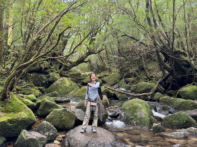 ���J�_�����A��̉��Ɏ��𐟂܂��ƁA�ǂ�ǂ񖳐S�ɂȂ��Ă����������A�S�n�悢�B_���v�����g���[�g�V�����e�B�[