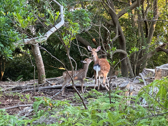 �����ѓ��̋߂��͎��������ł��B_���v�����g���[�g�V�����e�B�[