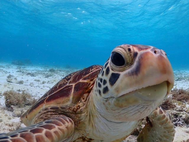 �������linkworks