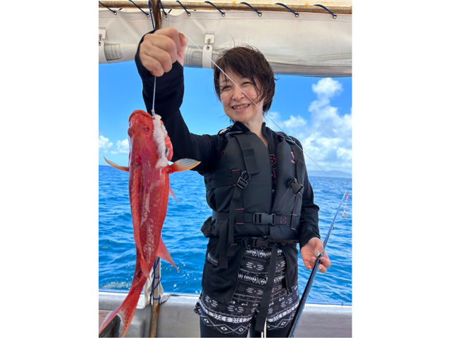 ���q����