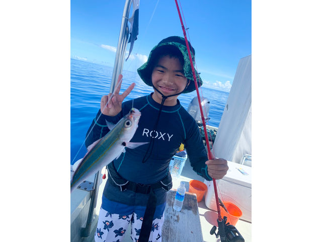 ���q����