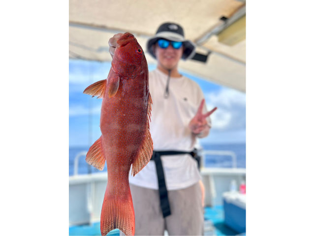 ���q����