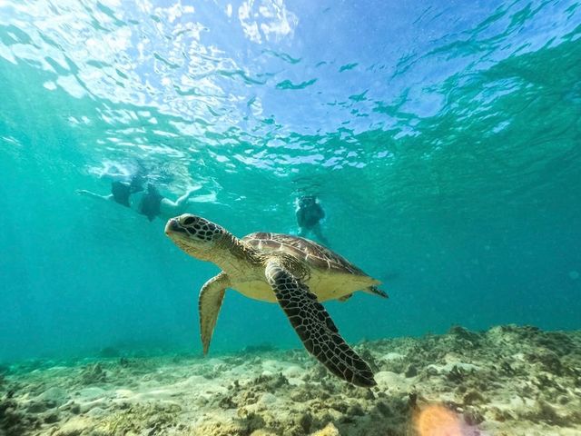 �G���Y�}����-m�fz marine