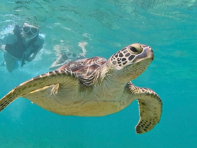 �G���Y�}����-m�fz marine