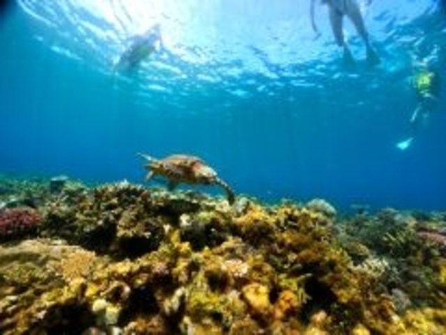 �G���Y�}����-m�fz marine