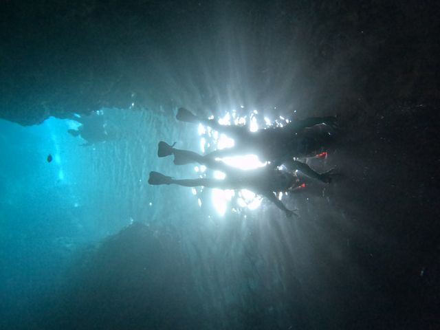 �G���Y�}����-m�fz marine