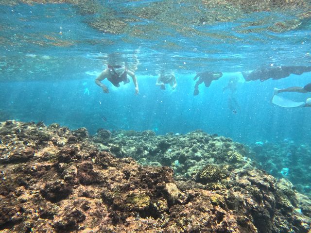 �G���Y�}����-m�fz marine