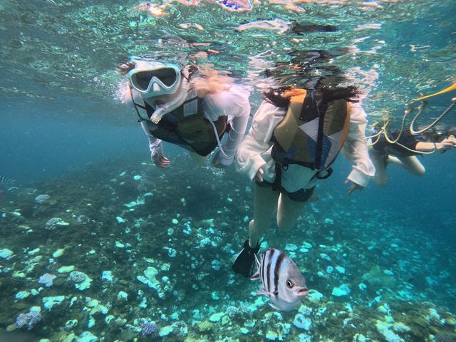 �G���Y�}����-m�fz marine