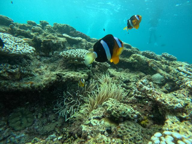 �G���Y�}����-m�fz marine