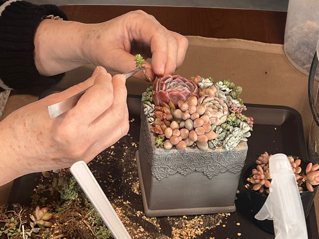 �c�̈�������z�u�̃R�c���A�ЂƂЂƂ��J�ɂ��`�����܂��B_L'atelier de la sorcier