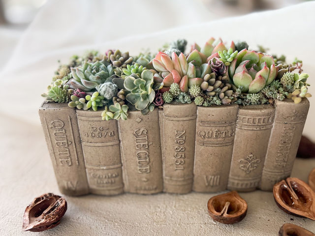 L'atelier de la sorcier