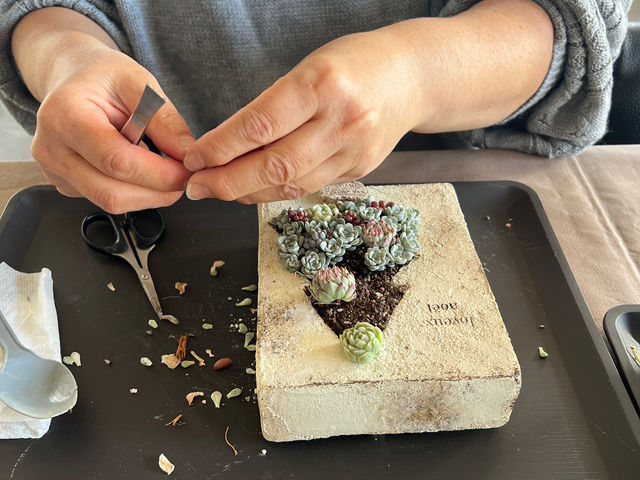 L'atelier de la sorcier