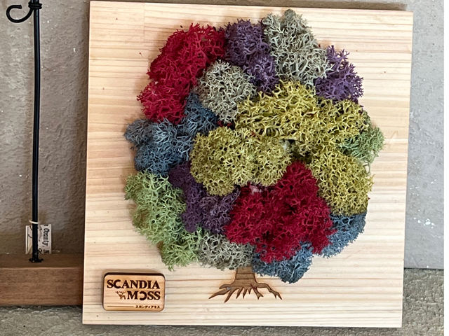 L'atelier de la sorcier