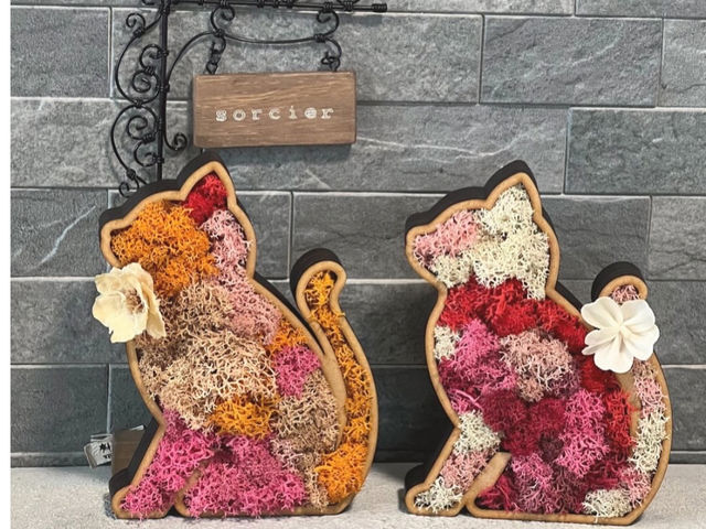 L'atelier de la sorcier