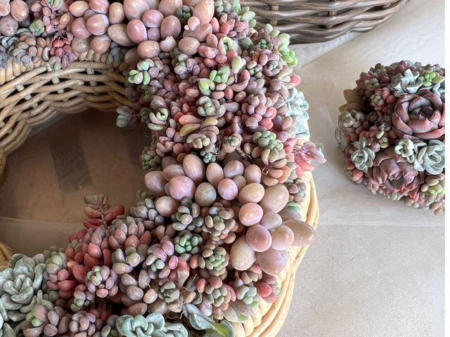 L'atelier de la sorcier