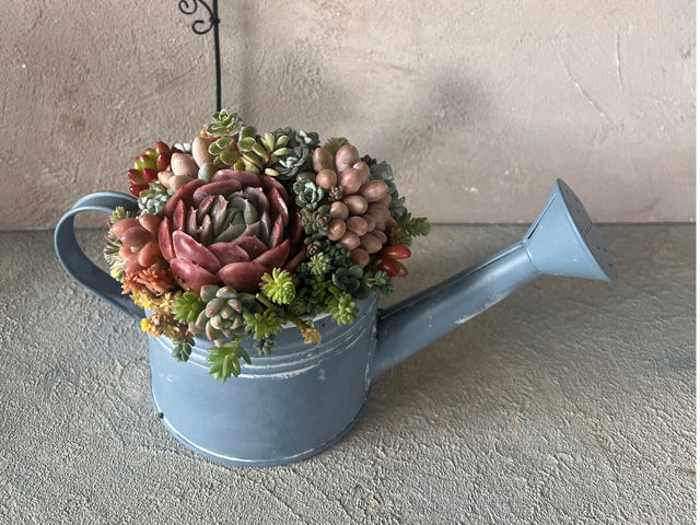 L'atelier de la sorcier