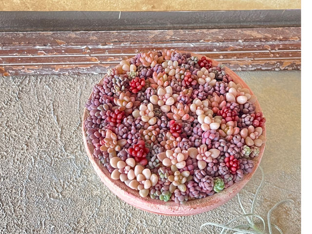 L'atelier de la sorcier