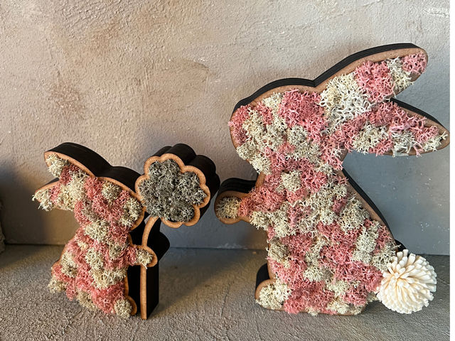 L'atelier de la sorcier