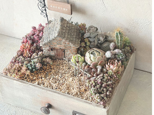 L'atelier de la sorcier