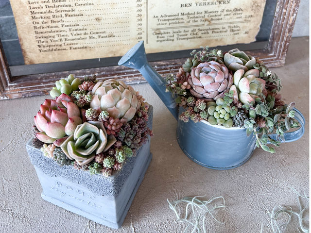 L'atelier de la sorcier