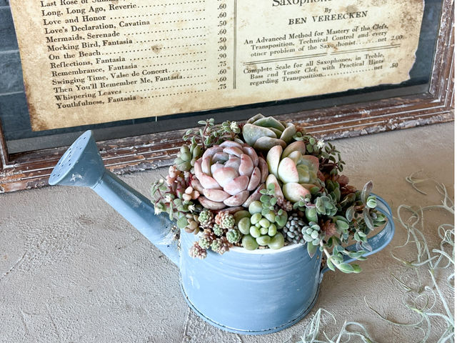 L'atelier de la sorcier