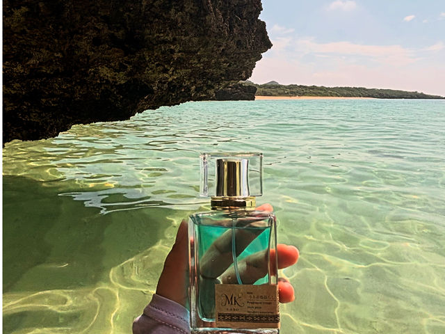 �f���邱�ƊԈႢ�Ȃ��I�I_MK LABO�Ί_��