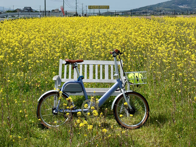 �T�C�N�����O������ƋG�߂��Ƃ̊y���݂�����܂��I_�����T�C�N���c�[���Y���Z���^�[