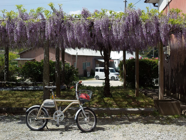 �����T�C�N���c�[���Y���Z���^�[