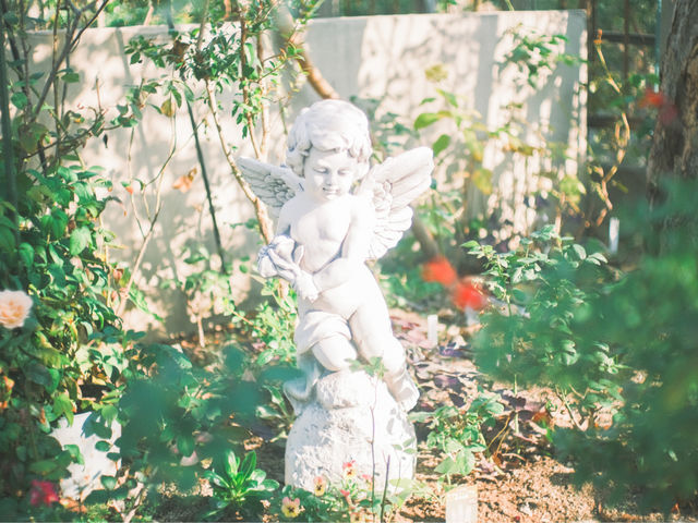 �V�g�̎�����K�N�������ς�_�o���Ƃ�܂ڂ���