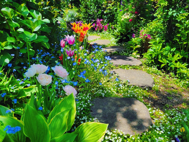 �t�̒�̗l�q�ł�_�o���Ƃ�܂ڂ���