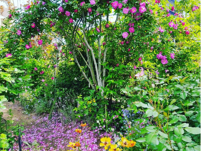 �o���Əh����_�o���Ƃ�܂ڂ���