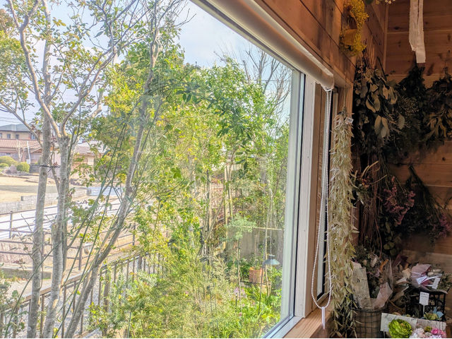 ������̌i�F�ł�_�o���Ƃ�܂ڂ���