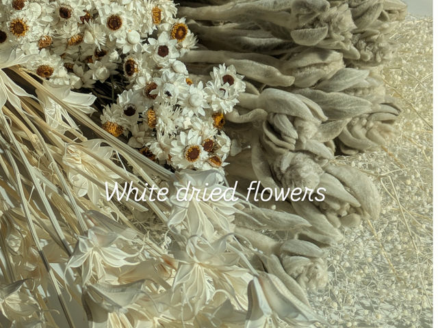 �h���C�t�����[�̔����Ԃ��W�߂�_�o���Ƃ�܂ڂ���