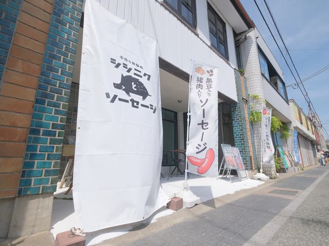 ����̌��� �V�V�j�N�ƃ\�[�Z�[�W