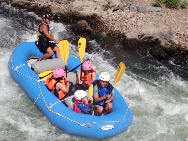 �ےÐ색�t�e�B���OFReX