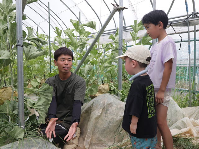 ��߂��farm
