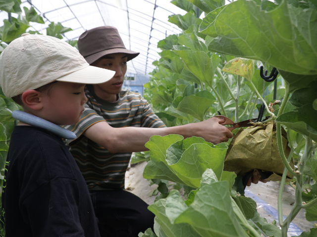 ��߂��farm