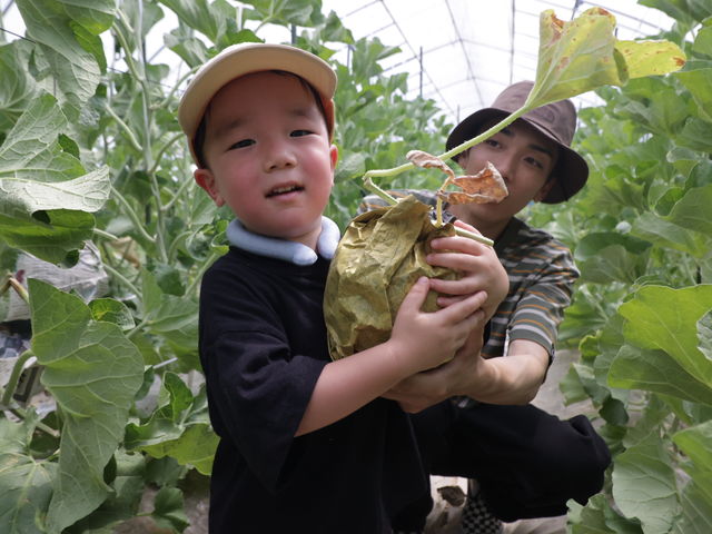 ��߂��farm