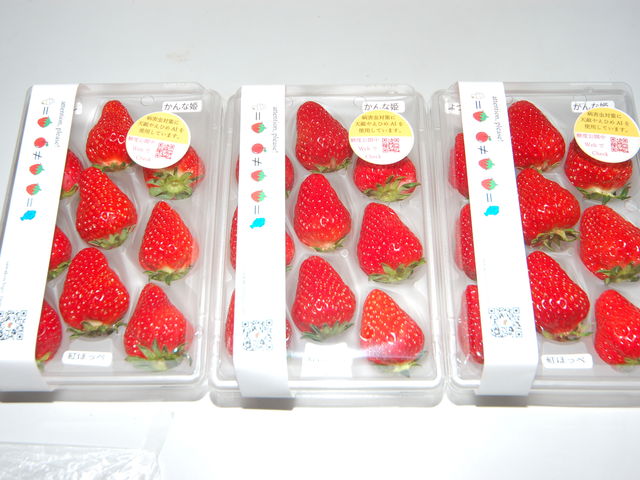 �o���G�e�B�p�b�N_���킱䕔_��