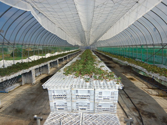 1�N�ȏォ���Ĉ�Ă�C�`�S�̕c_���킱䕔_��