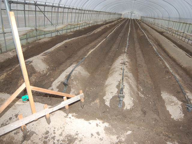 ��A���O_���킱䕔_��