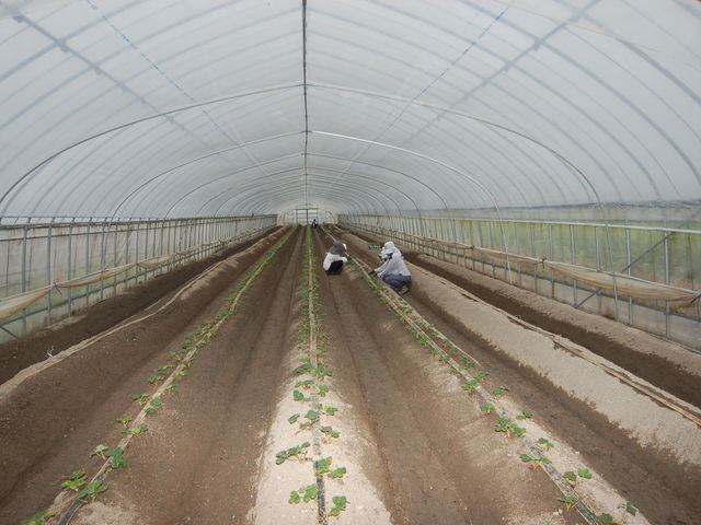 ��A��_���킱䕔_��