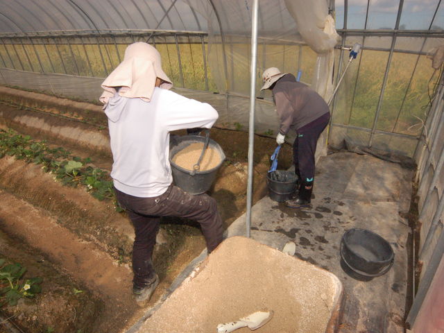 �ʘH�̍��T���@�����͏d����ł�_���킱䕔_��