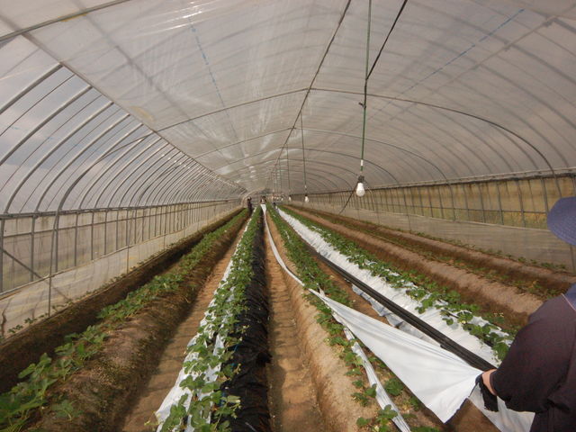 �}���`����_���킱䕔_��