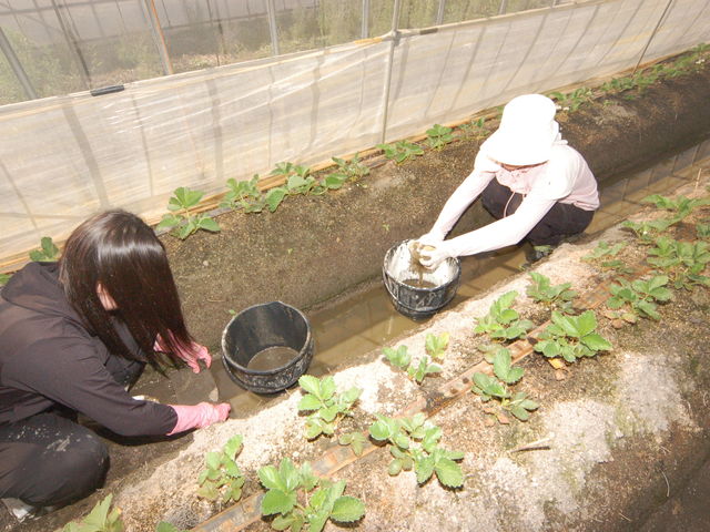 �ʘH�ɗ��܂��������z������Ă܂��B�B�B_���킱䕔_��