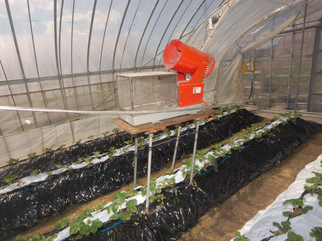 ��_���Y�f�������u_���킱䕔_��