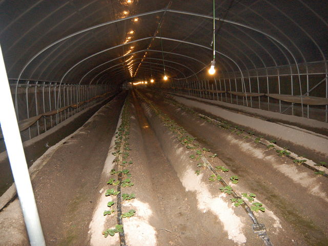 ��̓d��_���킱䕔_��