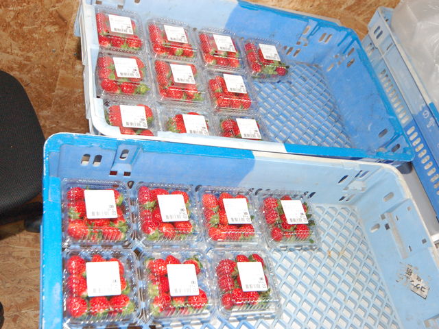 �Y���R�[�i�[�C�`�S_���킱䕔_��