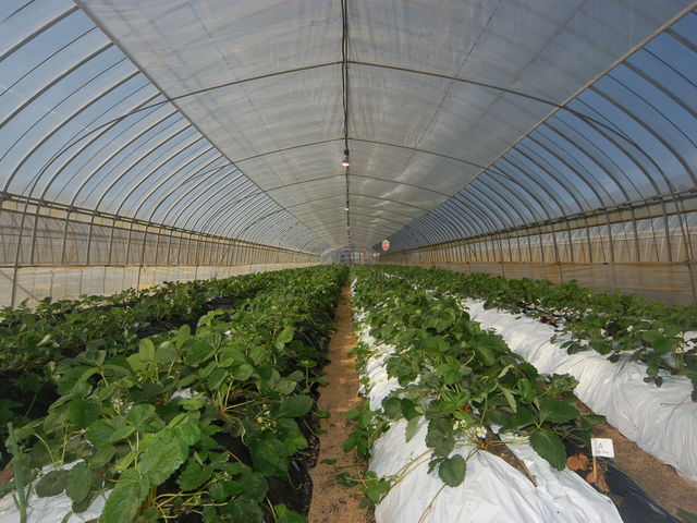 ������������_���킱䕔_��