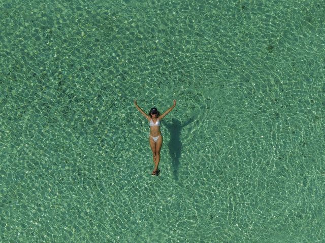 �Ί_����������V�[�T�[